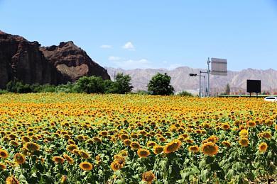 日式恐怖游戏《閉店事件》1月22日登陆Steam